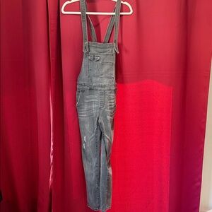 Free People Charcoal Denim Overalls